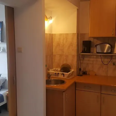 Calea Victoriei Apartment